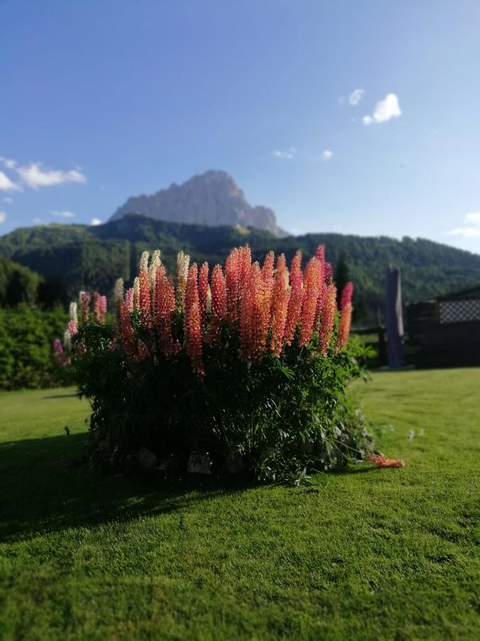 Cedepuent De Sot Apartment Selva di Val Gardena Exterior photo