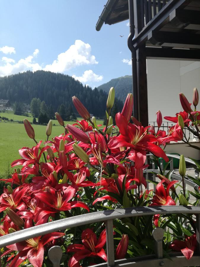 Cedepuent De Sot Apartment Selva di Val Gardena Exterior photo